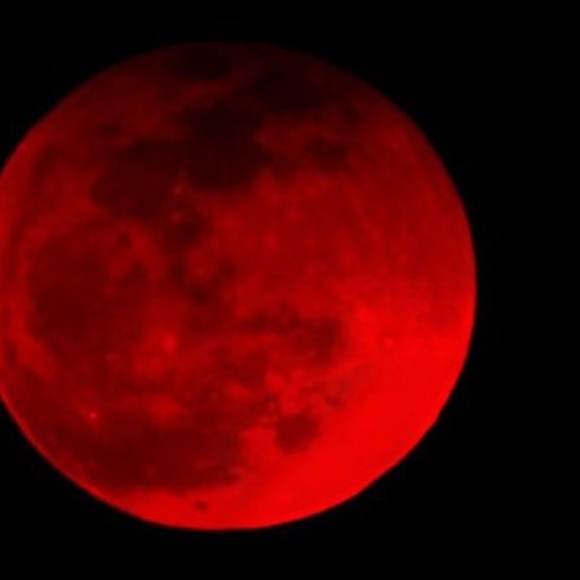 Meet your Posher, Susan - Picture 3 of 8